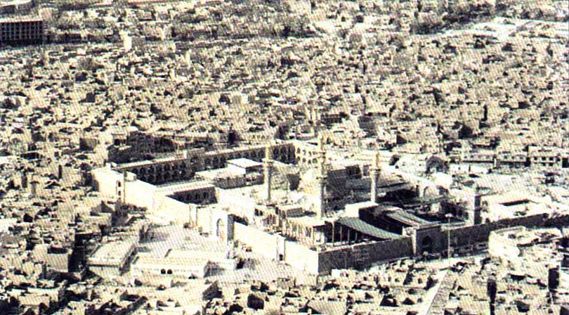 ����� �������� ������� 